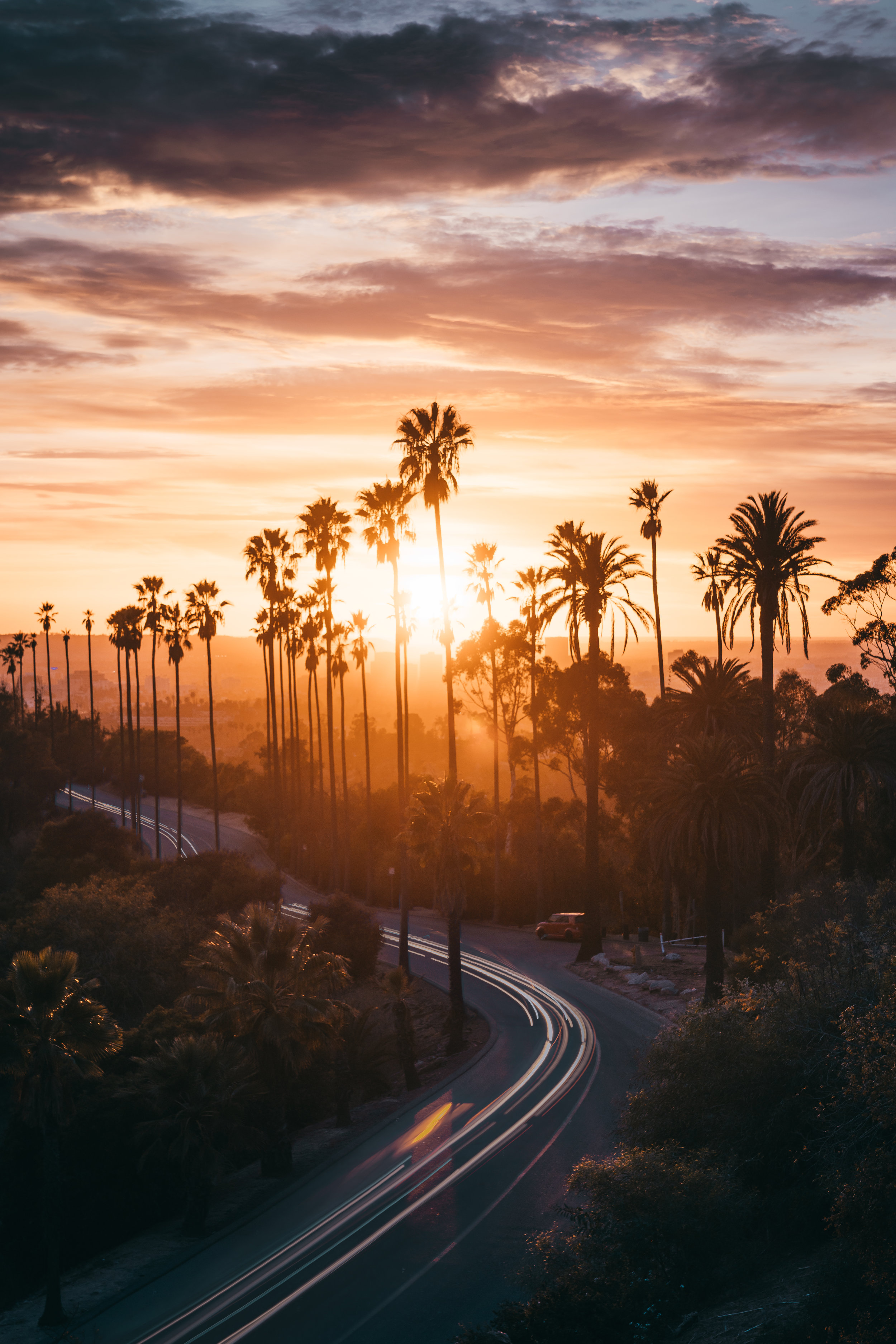 _DSC1466 - LA Elysian Park.jpg