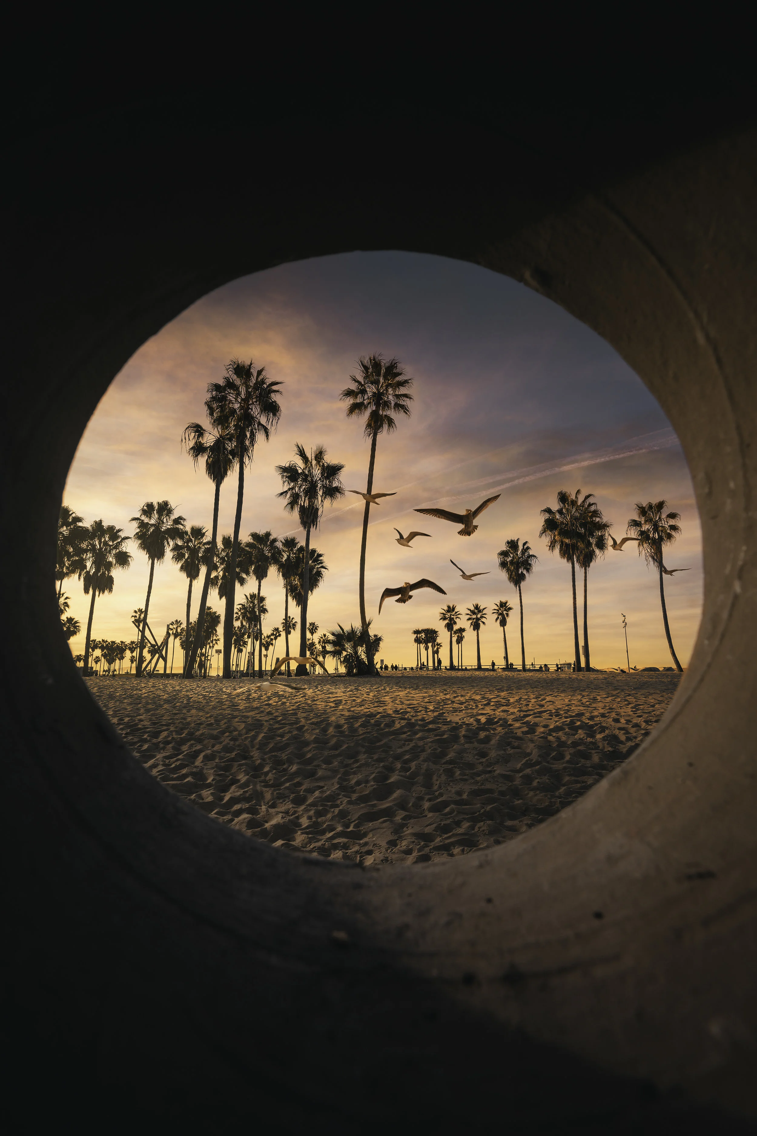 _DSC5815-Edit - Venice Hole v2.jpg
