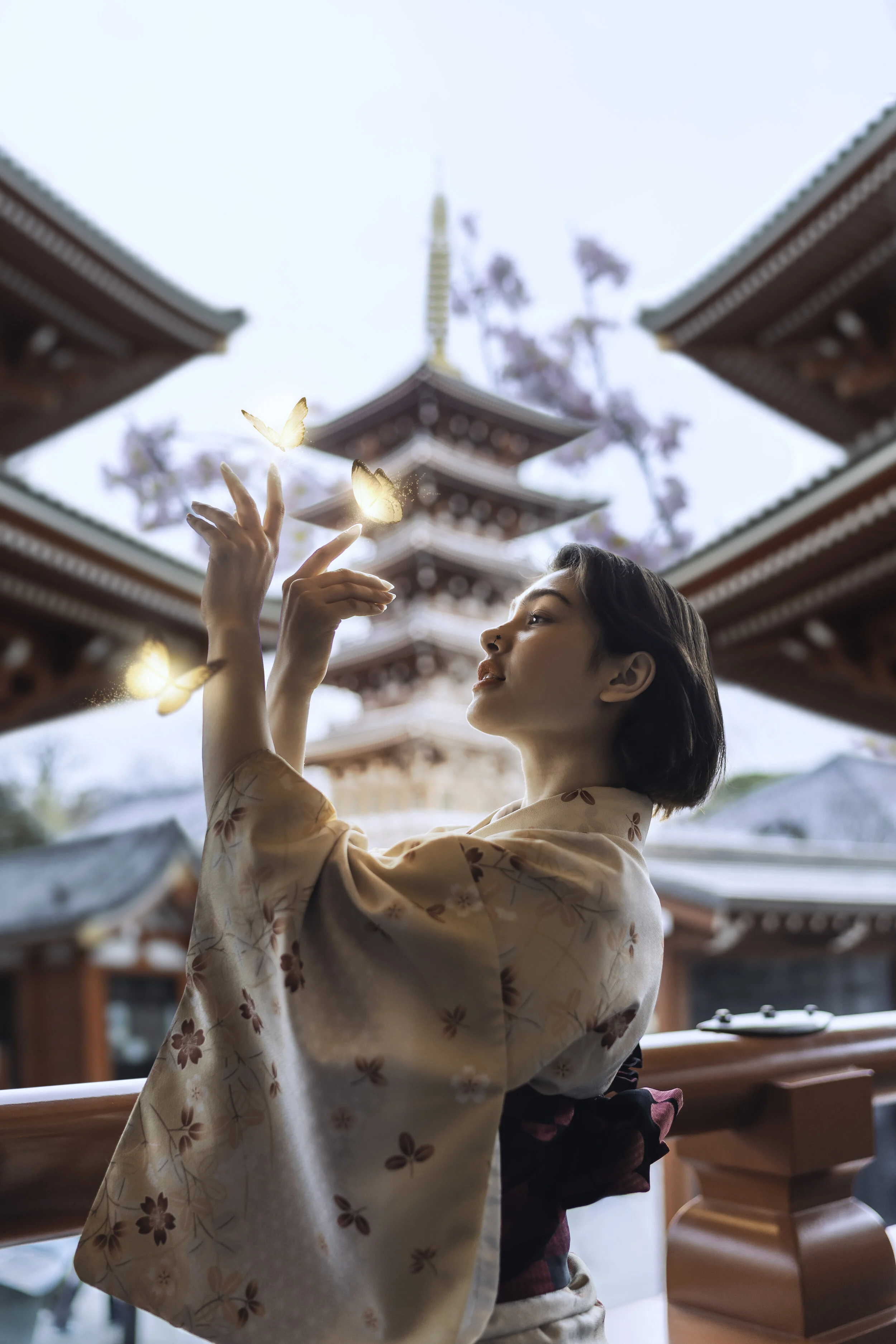 _DSC5655 - Mabel Asakusa v2 (1).jpg