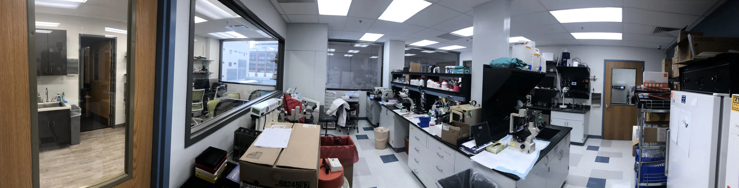 lab2.jpg