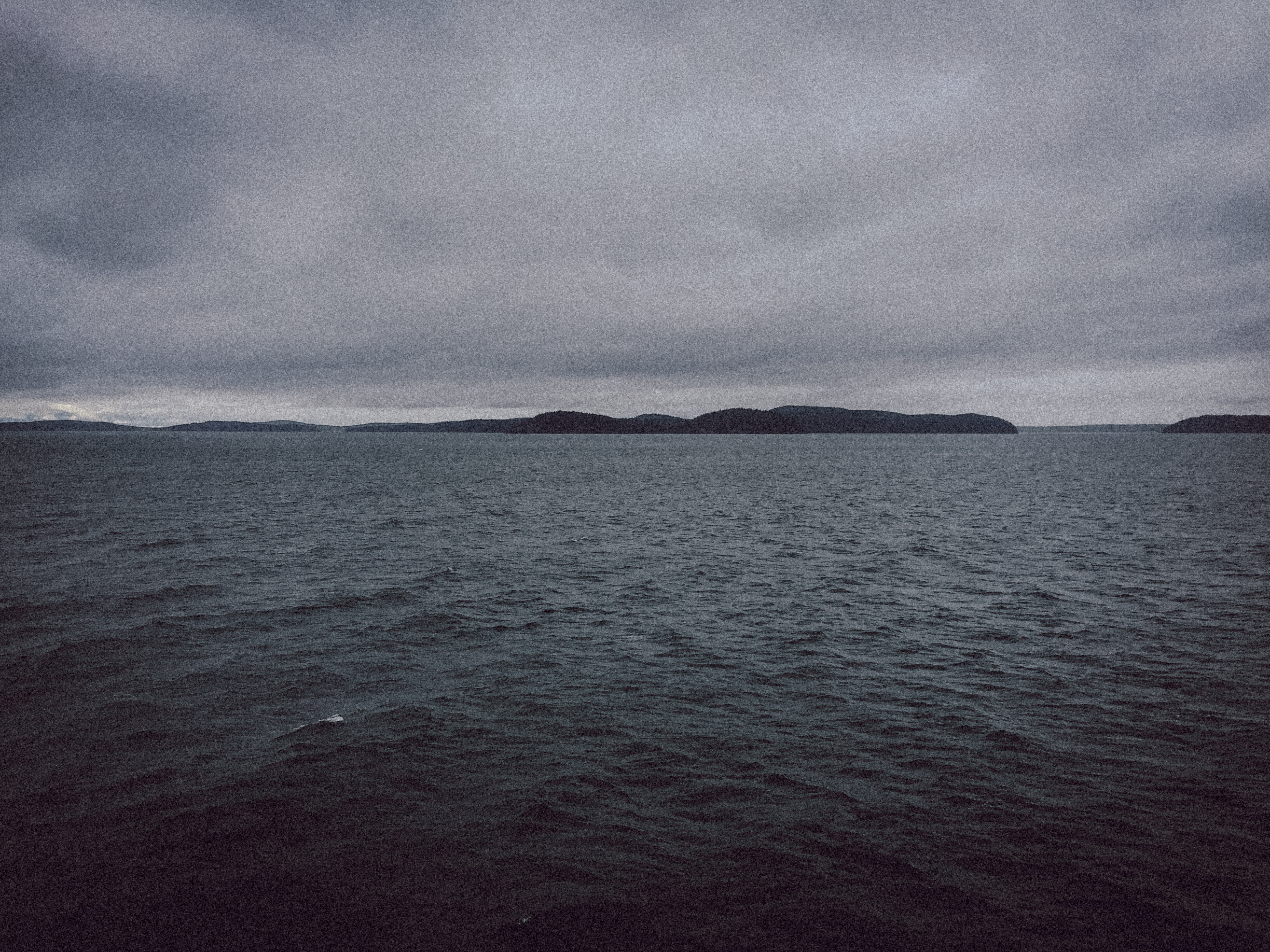 vscocam-share.jpg