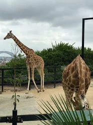 IMG_1399.jpeg