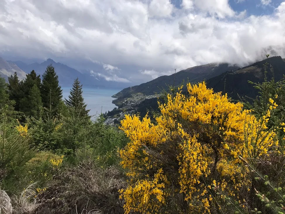 Day 19 - Intro to Queenstown