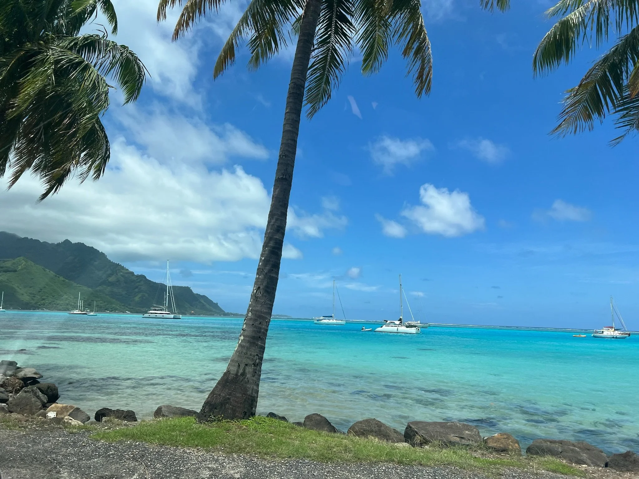 Tahiti (Moorea) - Day 1 (2/14/24)