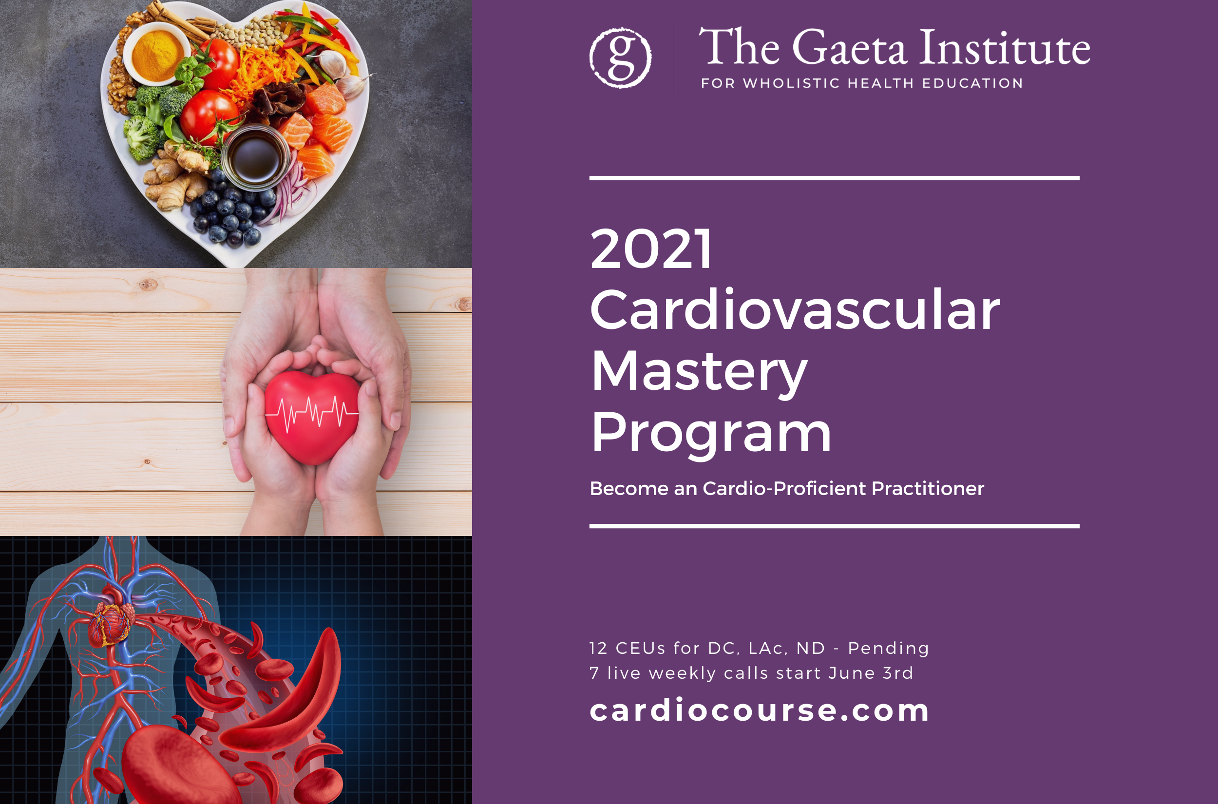 2021 Cardiovascular Mastery Program (Copy)