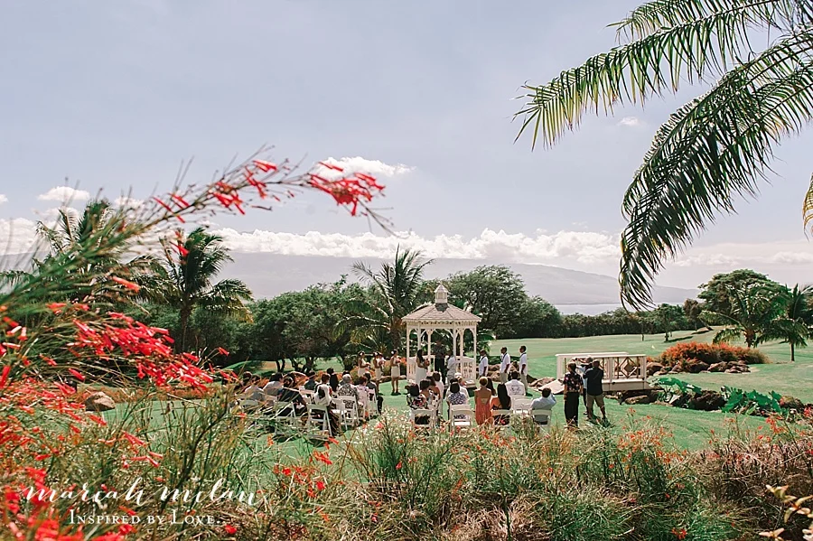 maui-photographer_1760.jpg