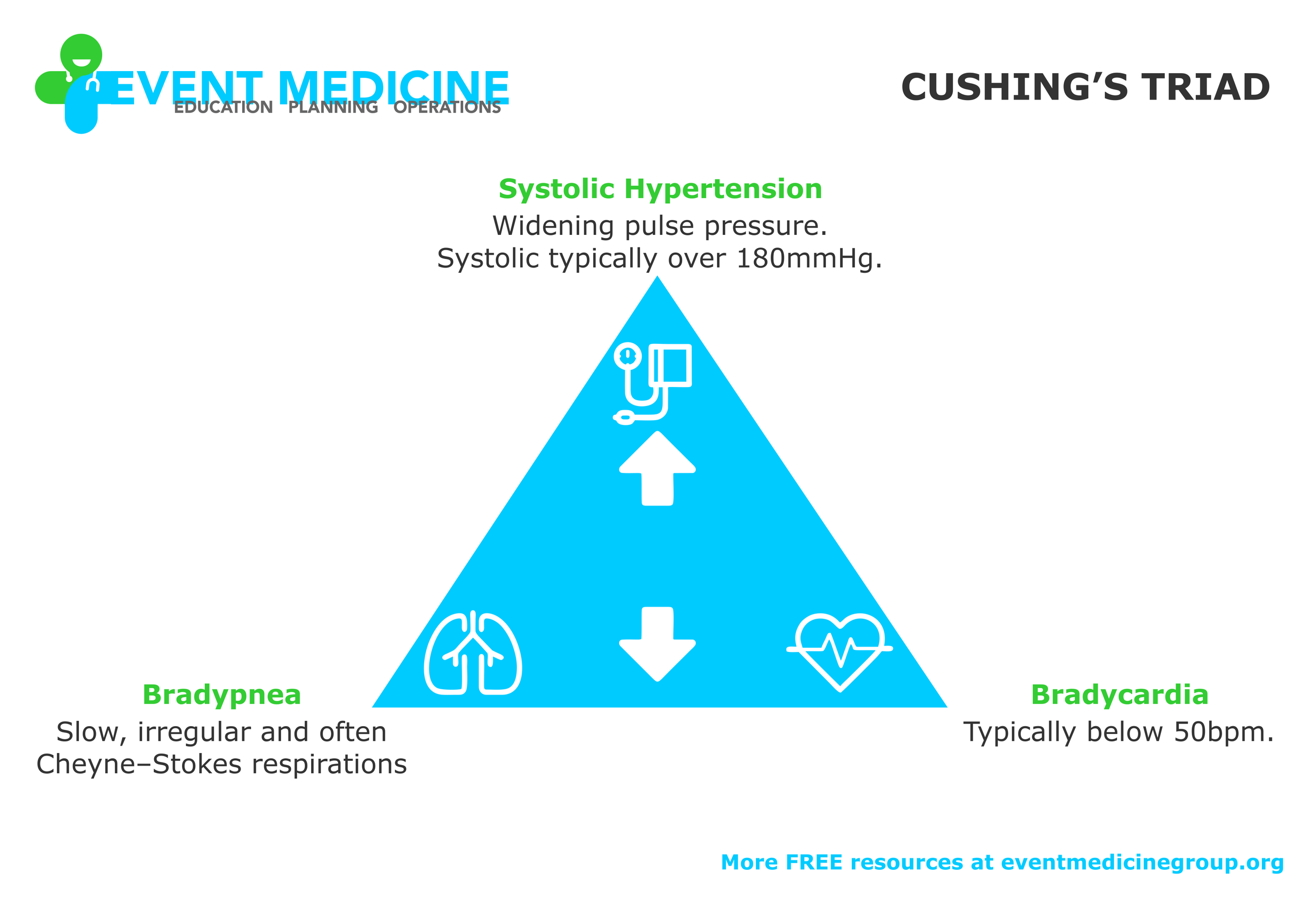 Patient Assessment — Event Medicine Group Education, Planning
