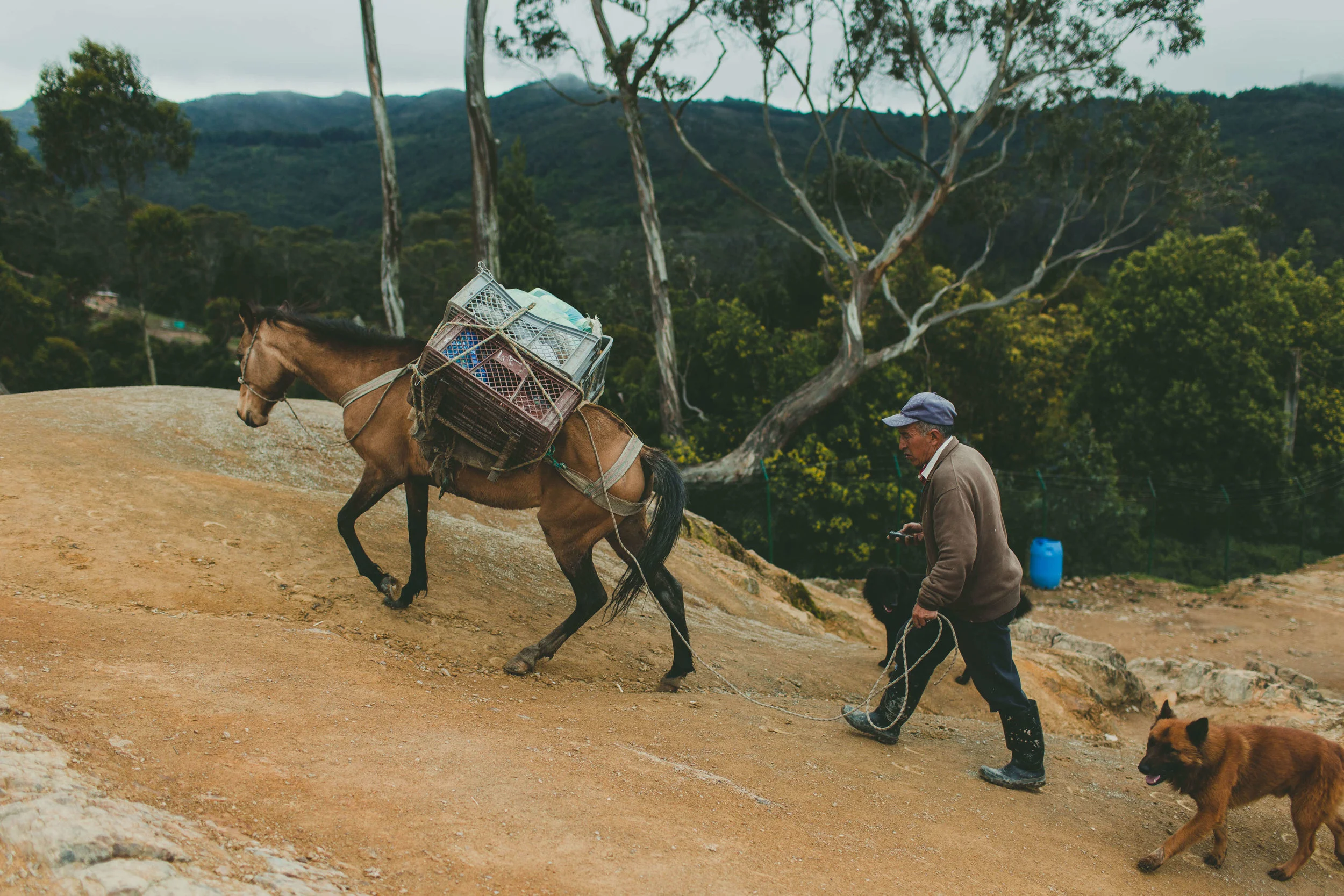 Colombia-61.jpg