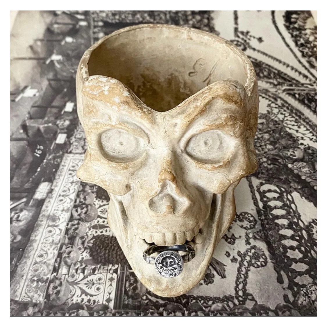 512BFBAE-413A-45D5-B925-37237BE2D0A6