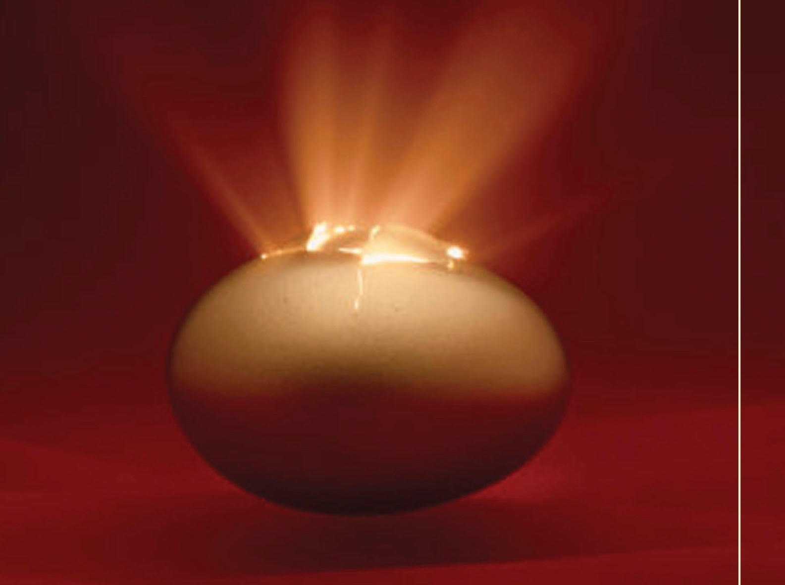 egg.jpg