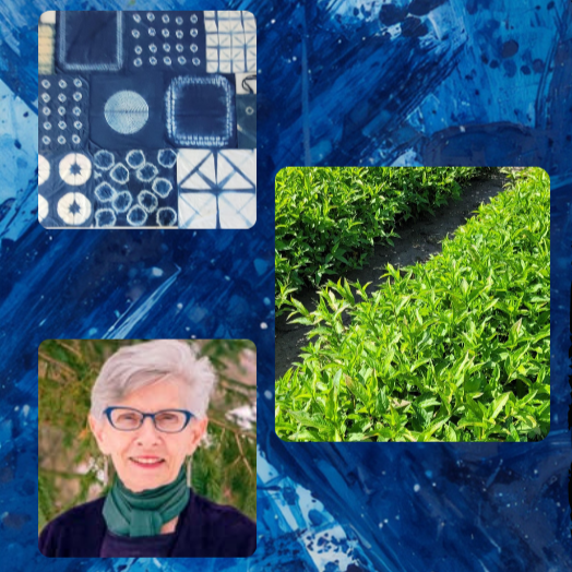 Indigo+Workshop+%281%29.png
