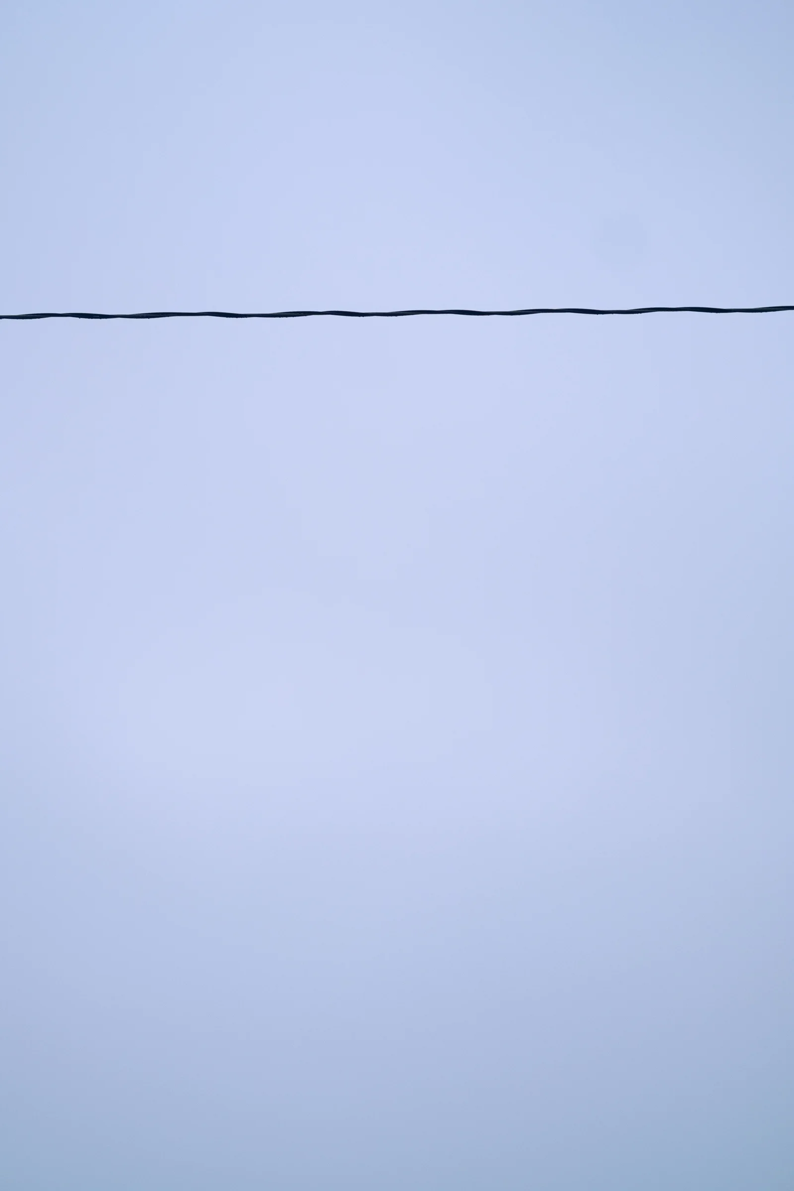 Hanging, 2018