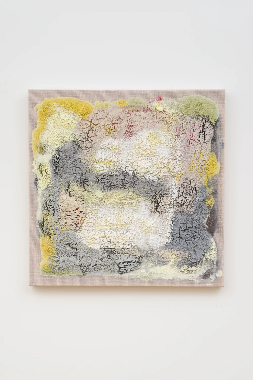 Untitled, 2011. Acrylic, wax, cotton interface. (26 x 26 x 1.5 inches)