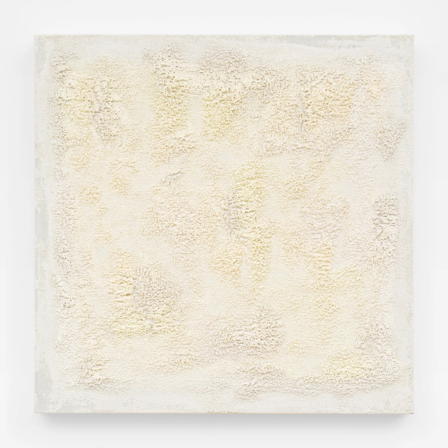 Untitled, 2009. Oil, wax, cotton interface. (23 x 23 x 1.5 inches)
