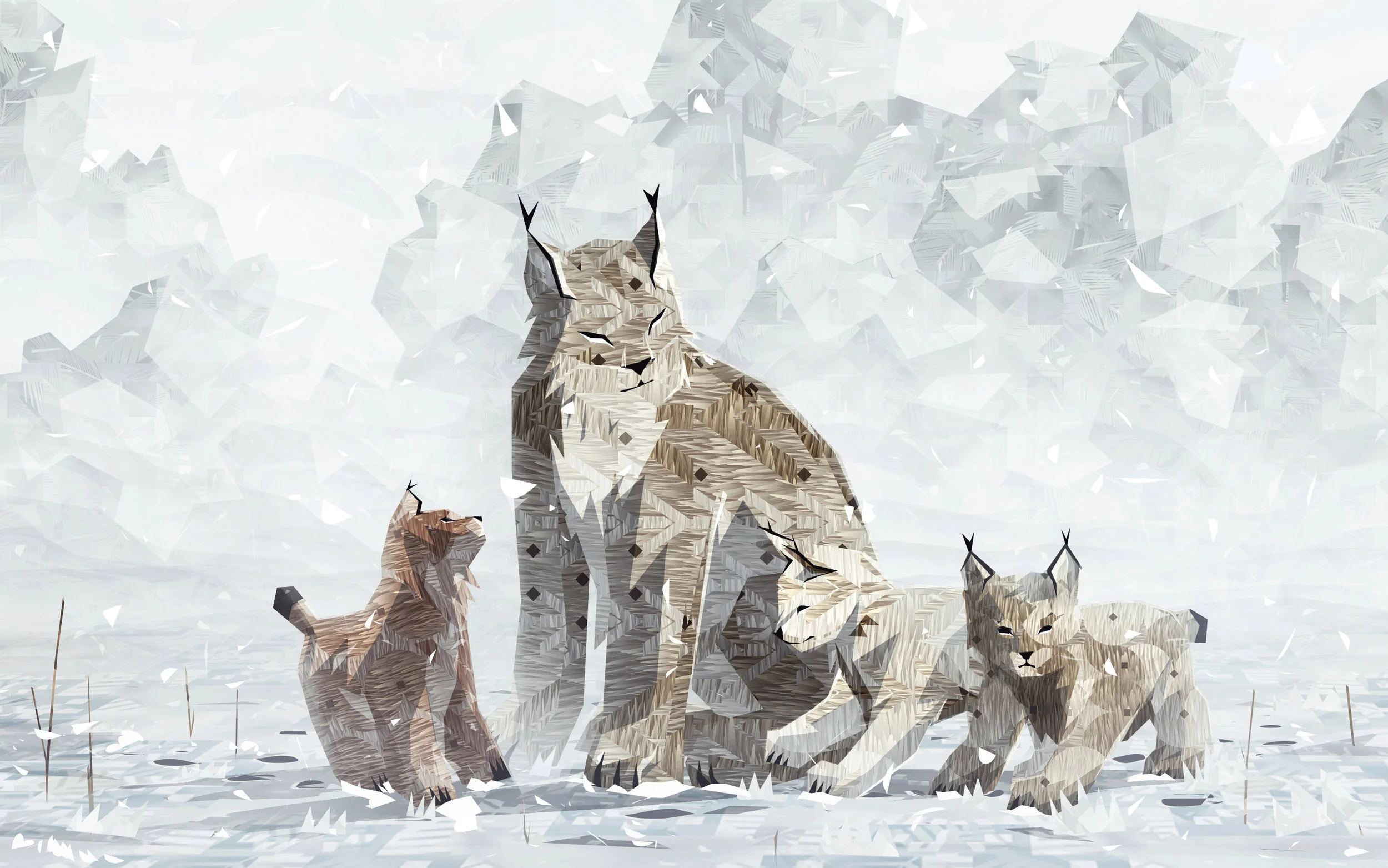 Shelter 2 - Review