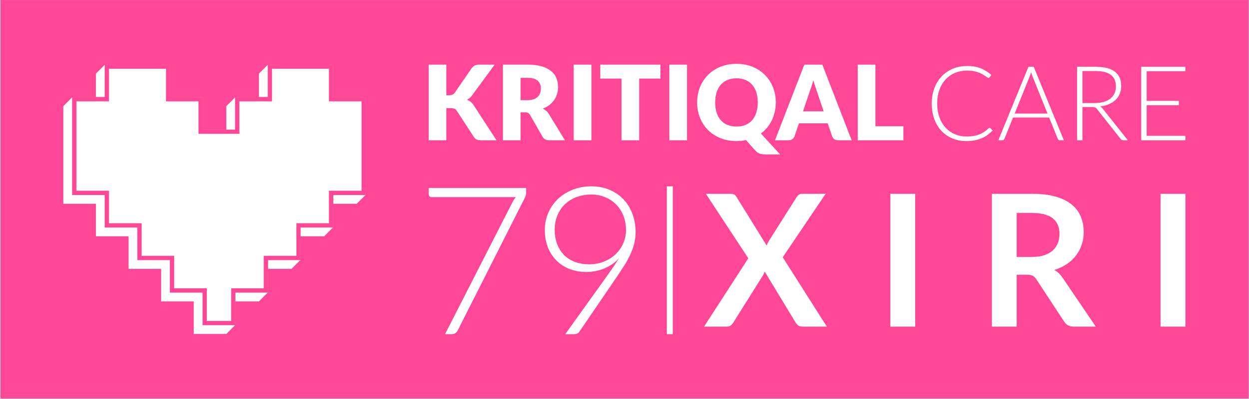 Xiri's low-poly empanadas and gay serendipity | KRITIQAL