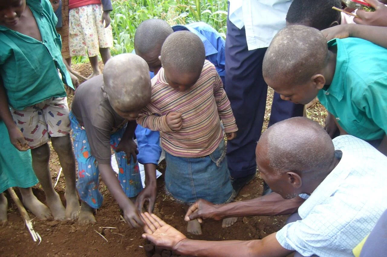 St.Elizabeth Nusery Beds and Kanaba 2.jpg