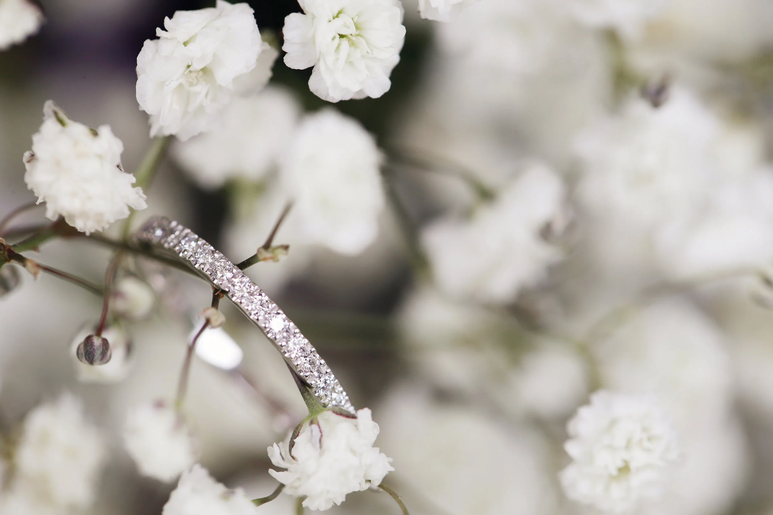 Serena Jones Photography -Nathan and Sarah Laylim - 2.jpg