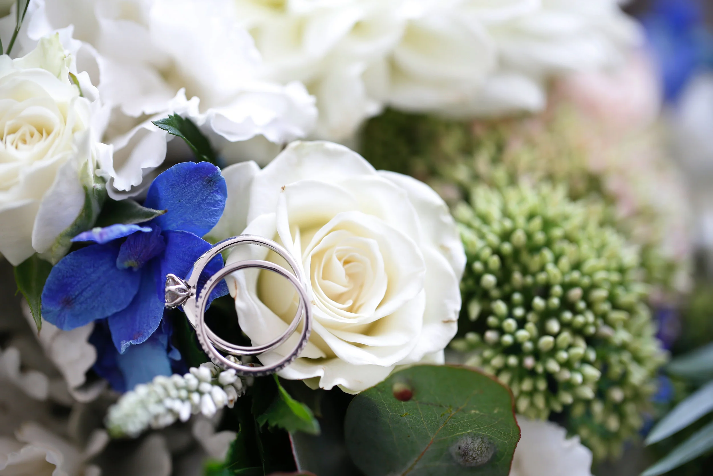 Serena Jones Photography -Nathan and Sarah Laylim - 10.jpg