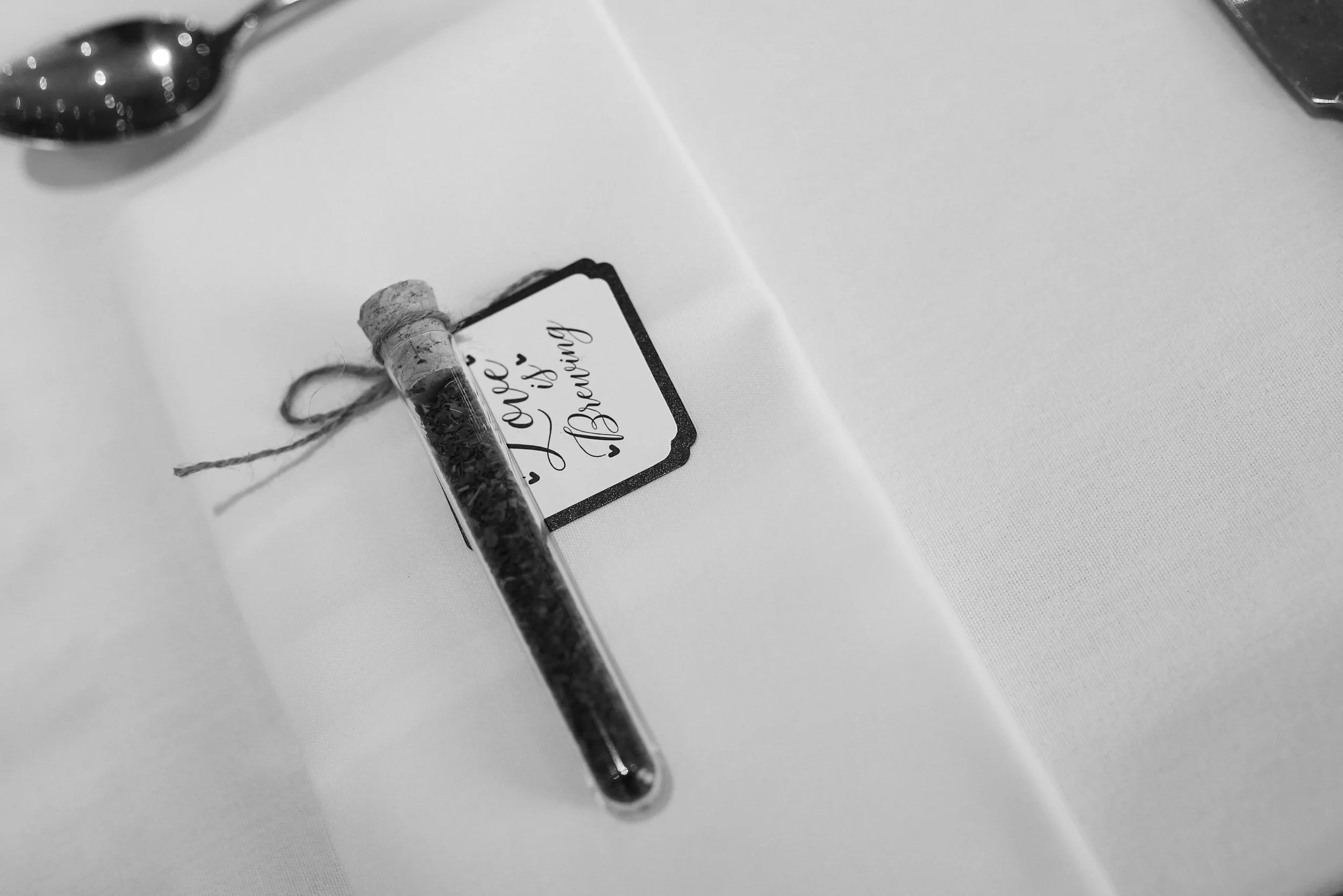 Serena Jones Photography -Nathan and Sarah Laylim - 58.jpg