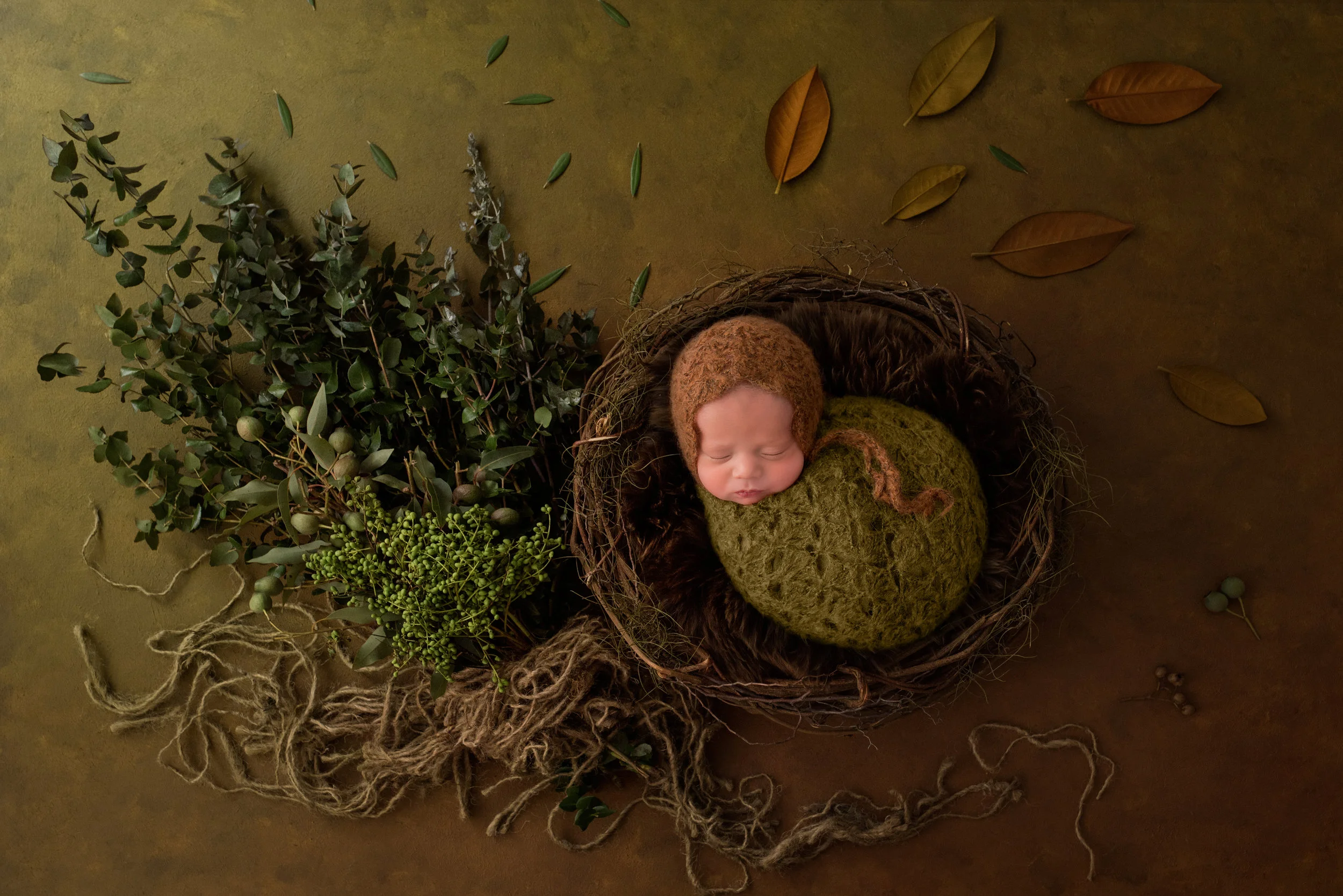 Serena Jones Photography - Cruz Koloa Pakileata - 6.jpg