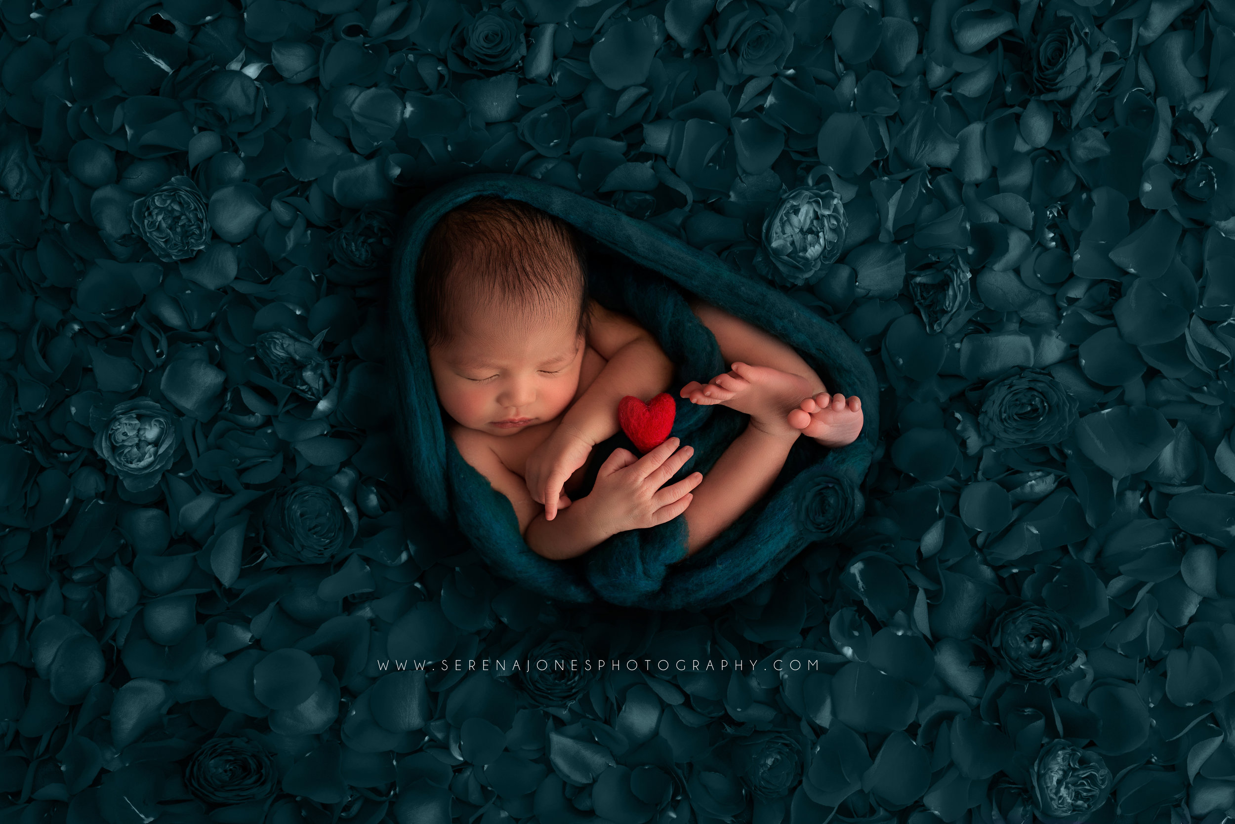 Serena Jones Photography - Tobias Akira Mateo - 32 FB.jpg