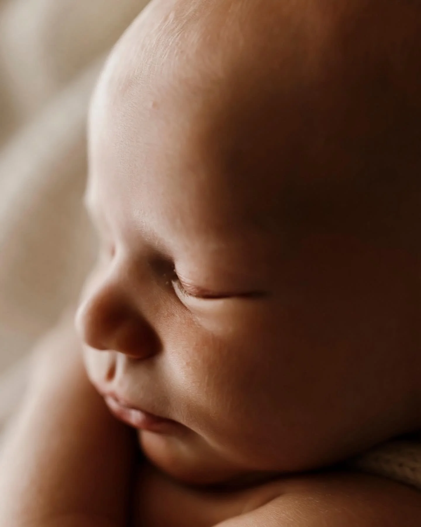 Close ups to start the week. The details that don&rsquo;t last so long, my favourite to capture.

Captured @rawimagephotography_ workshop and led by @melaniekellermann_photography 

#serenajonesphotography #macrophotography #closeups #newborn #newbor