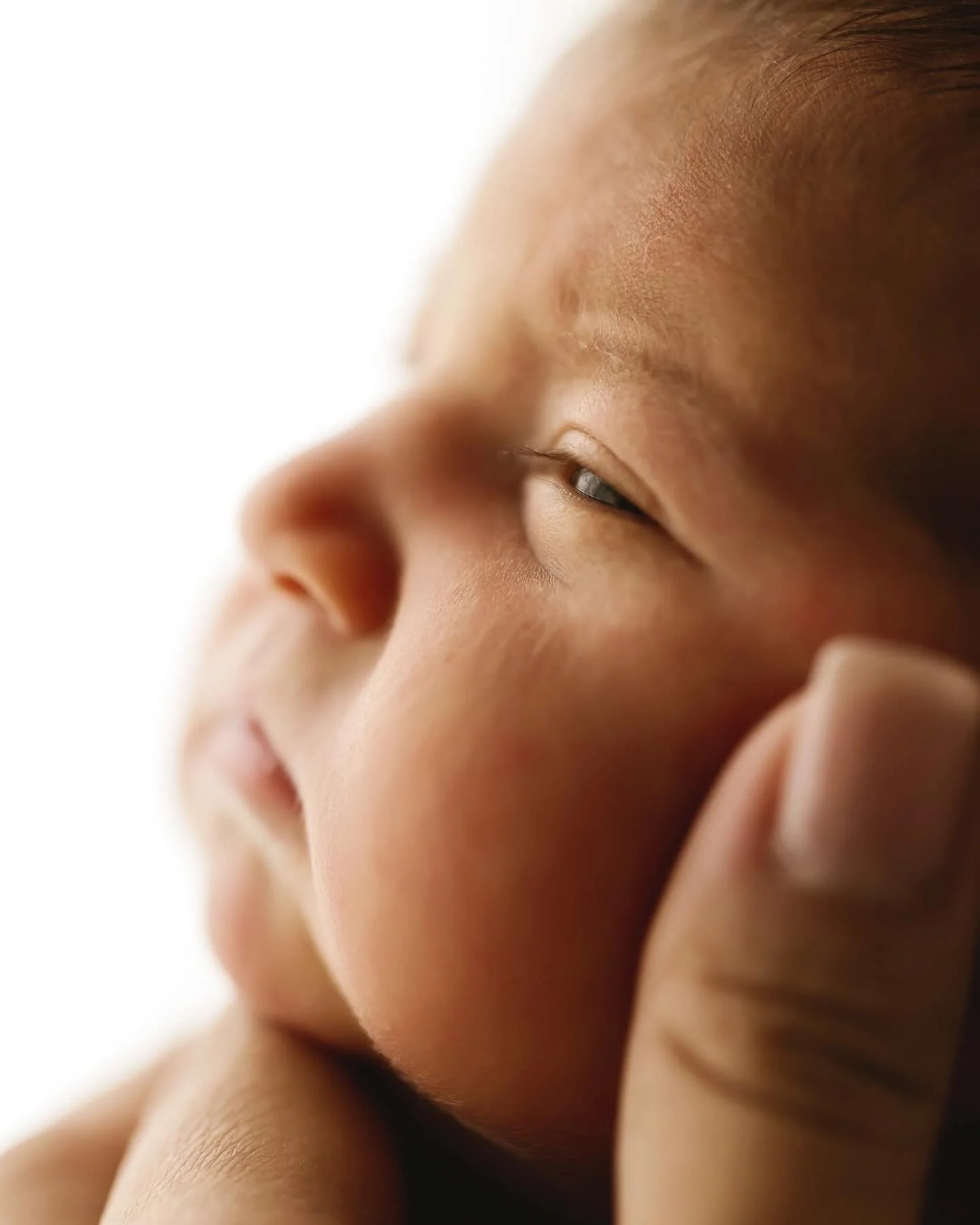 Beautiful baby girl captured in my studio. I loved meeting this couple and capturing their first baby.

#serenajonesphotography #newborn #newbornphotography #baby