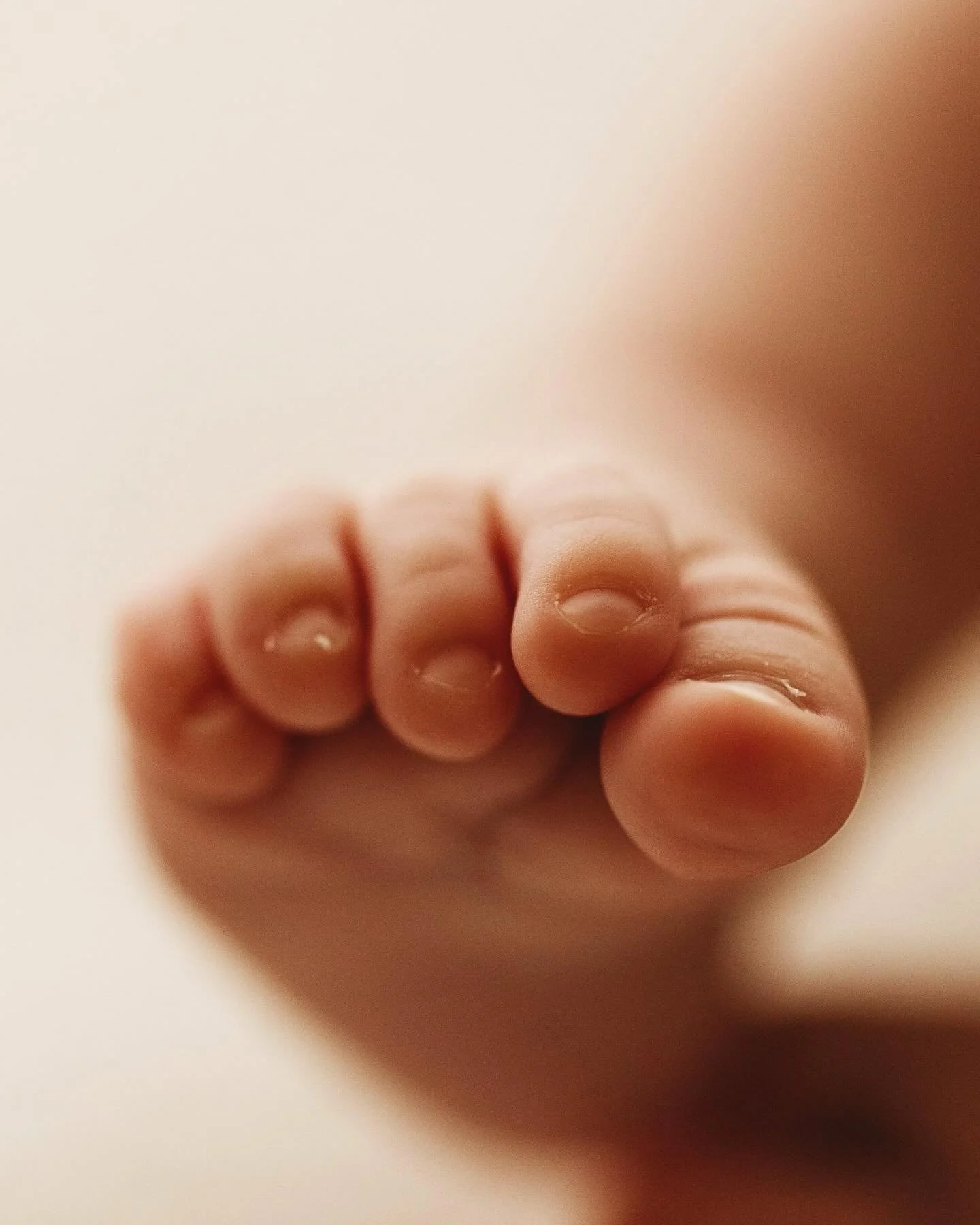 Sweet little Matilda captured in my studio. 

#serenajonesphotography #newborn #newbornphotography