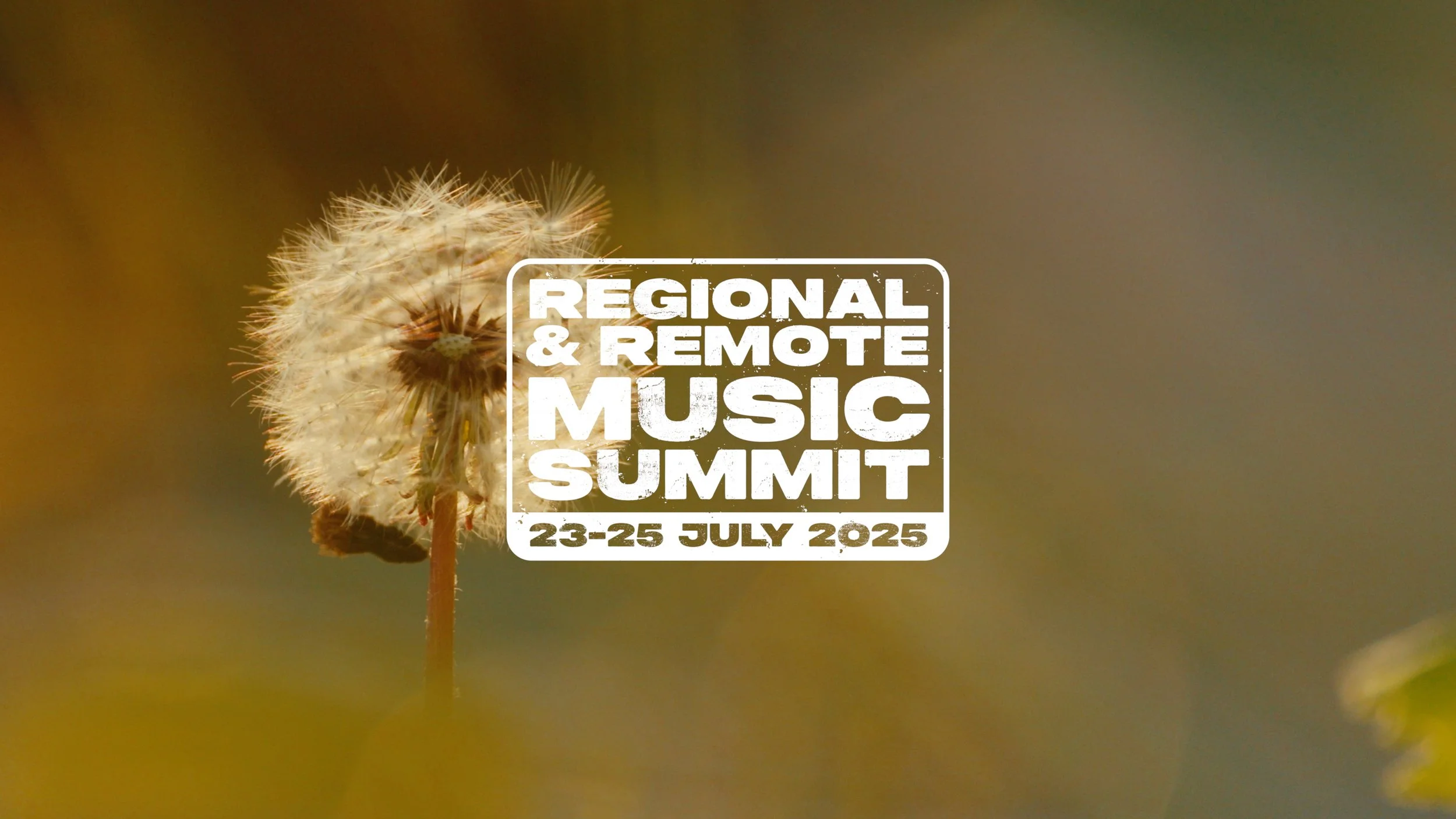 MUSIC SUMMIT 25-4K