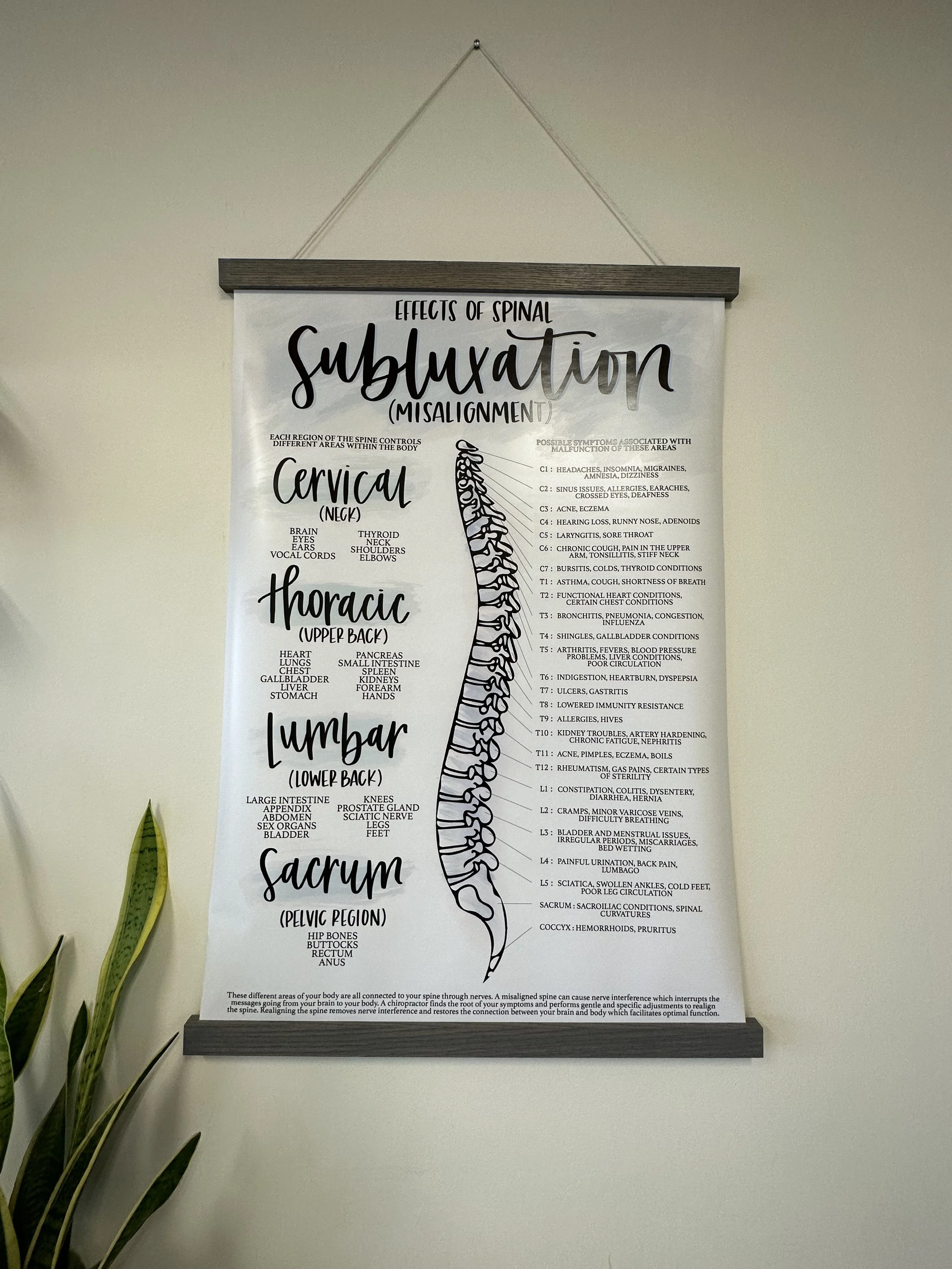 Demystifying the Meric Chart: Understanding the Spine and Its Connections
