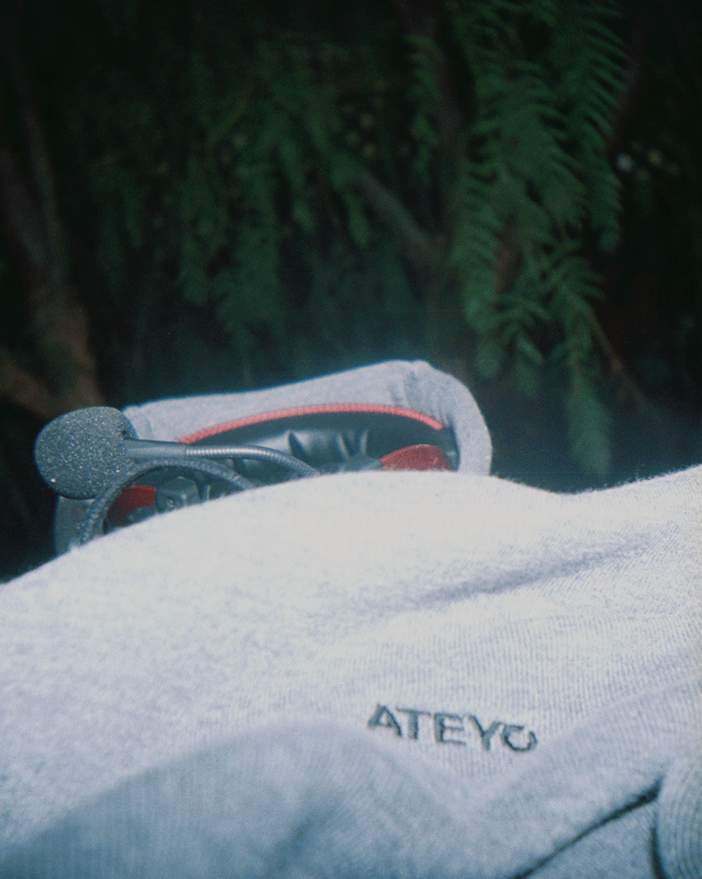 LEO0817-013.gif