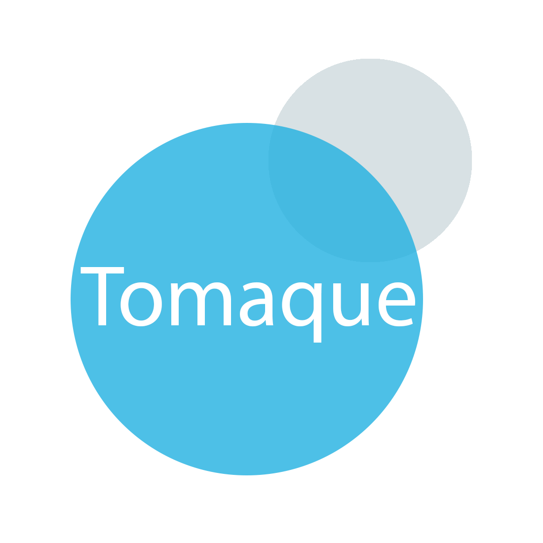 Tomaque logo(2).png