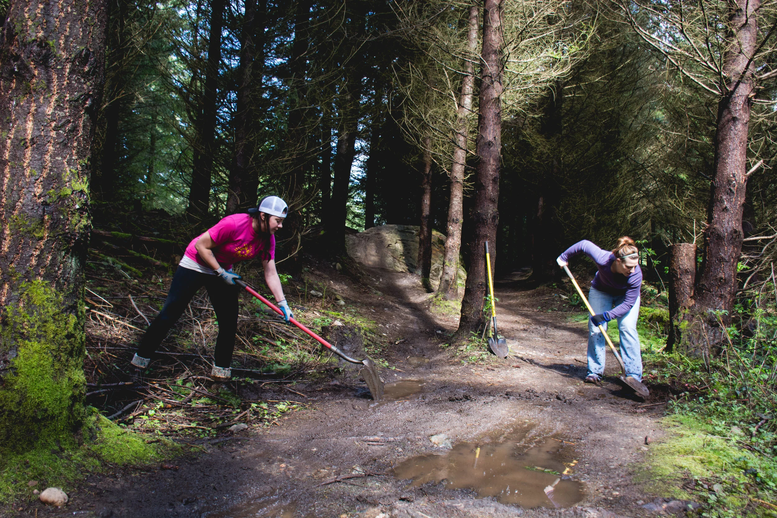 CedarDustTrailDay.jpg