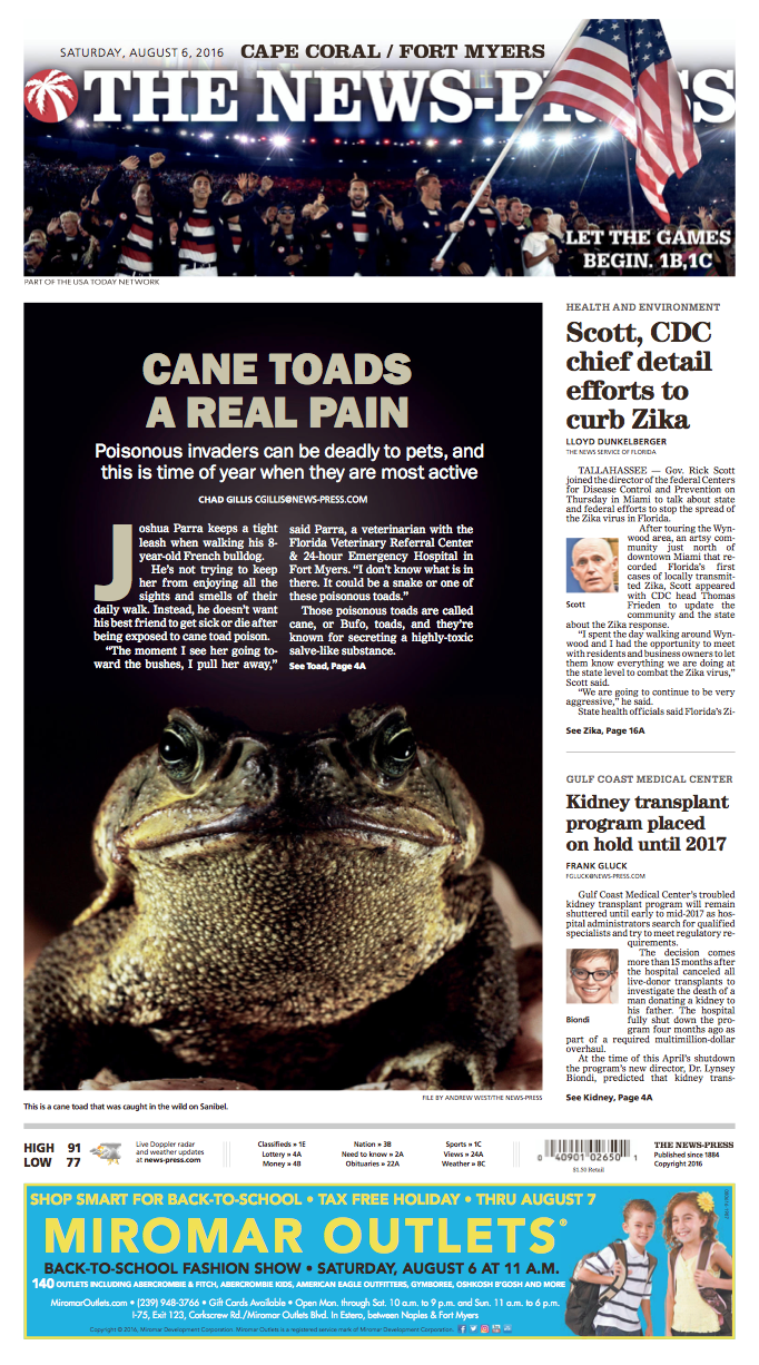 Screen Shot 2018-03-03 at 8.18.01 PM.png