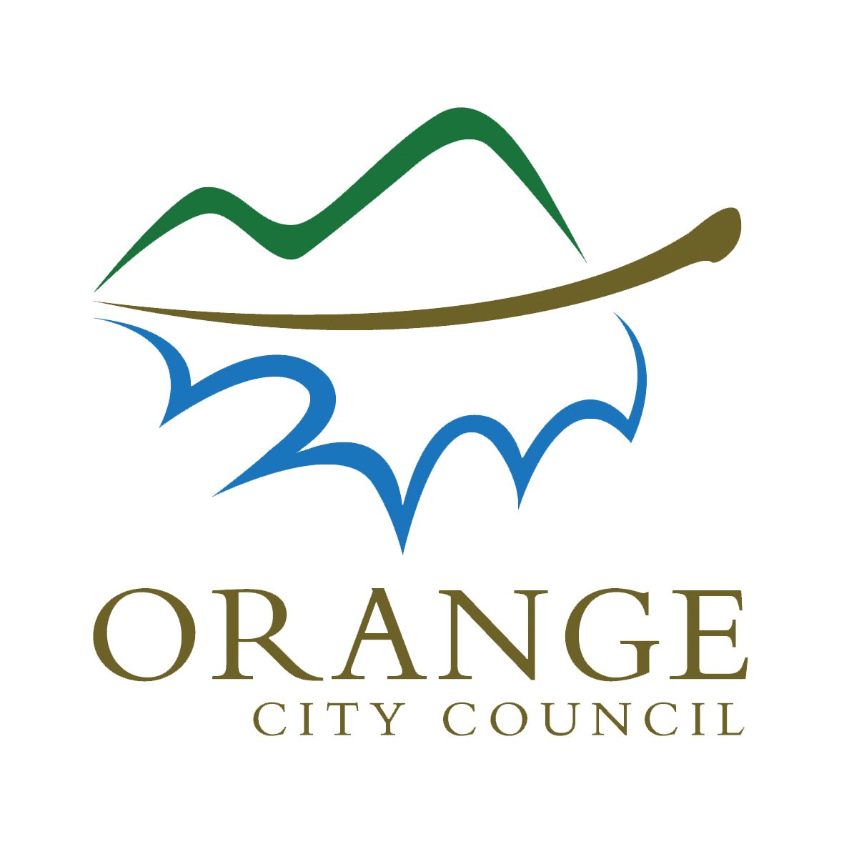 orange city council.jpg