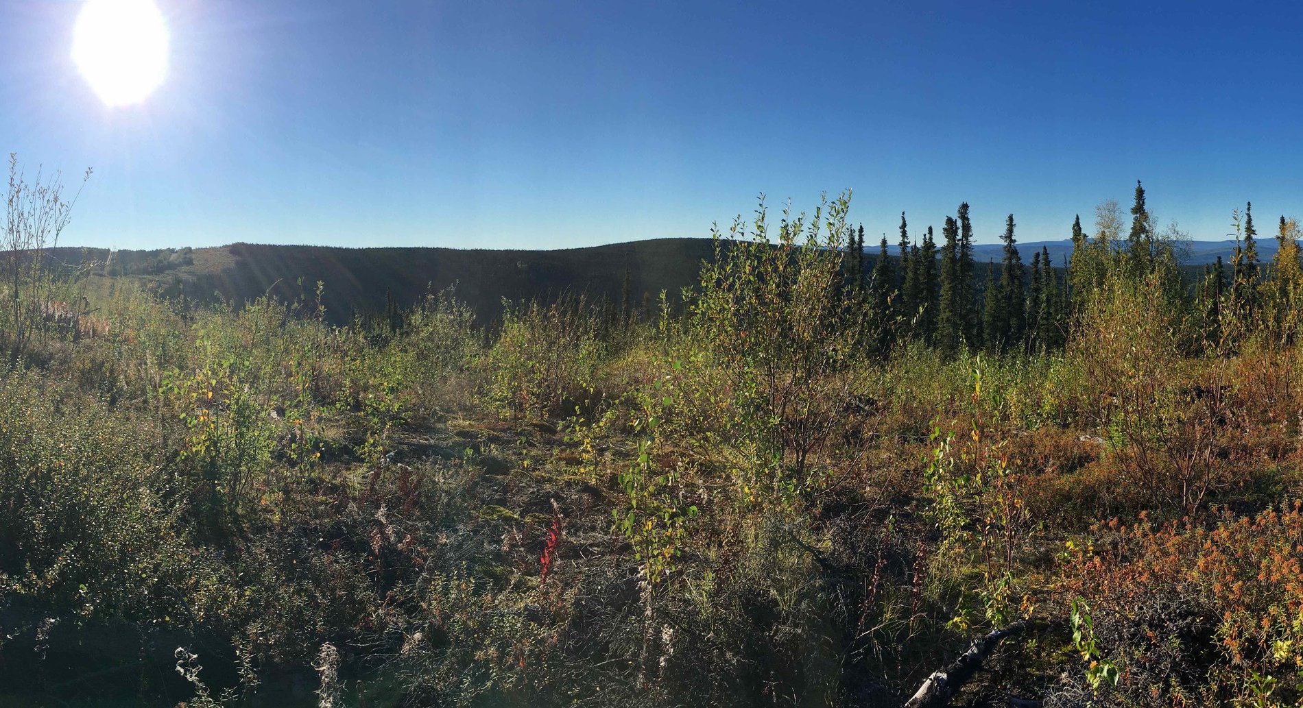 pano.jpg