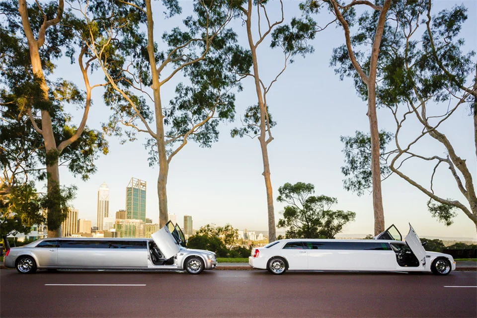 limo silver and white