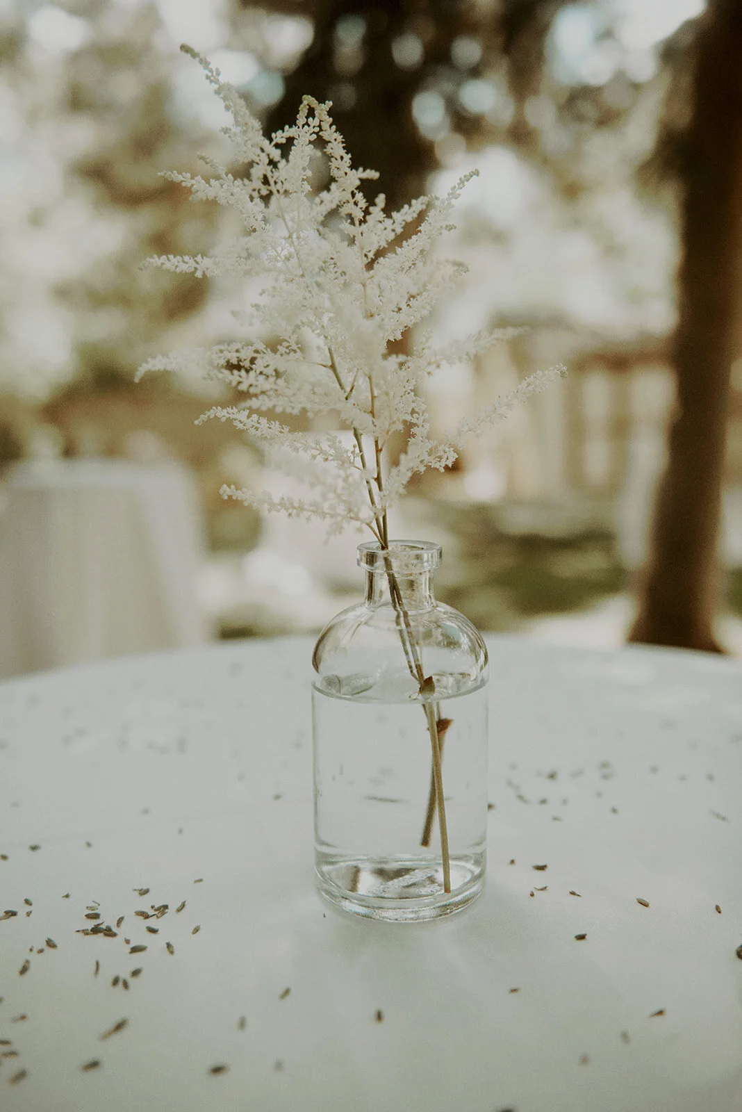 Ashleigh Brown Photography-58.jpg
