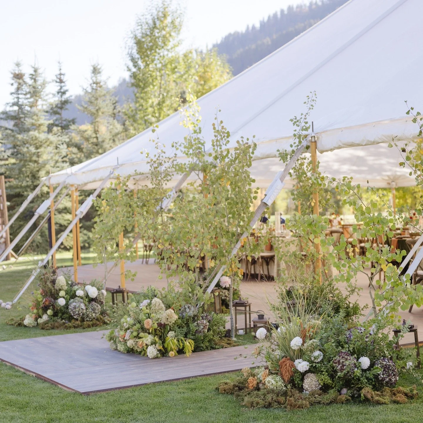 Congratulations E + A ✨

Truly grateful to be part of this wedding alongside a bunch of incredibly dedicated + talented vendors.

Event Planner @alpineeventdesign
Photographer @roslyn.smithers
Florals @plushfloral
Rentals @rustiquerentalsandeventdesi