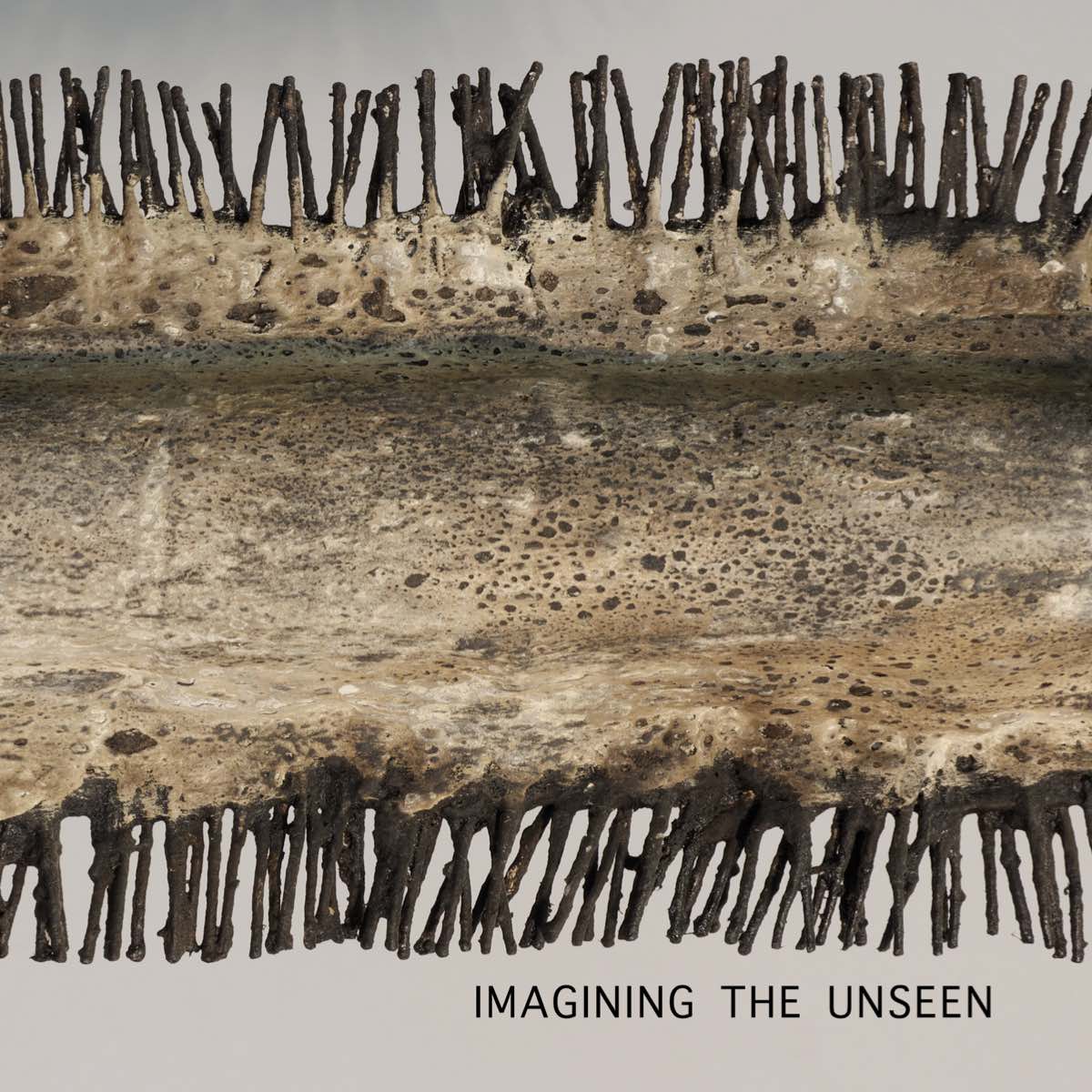 Imagining the Unseen (FINAL)1.jpg