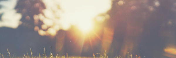 EMAIL HEADER 16.5.png