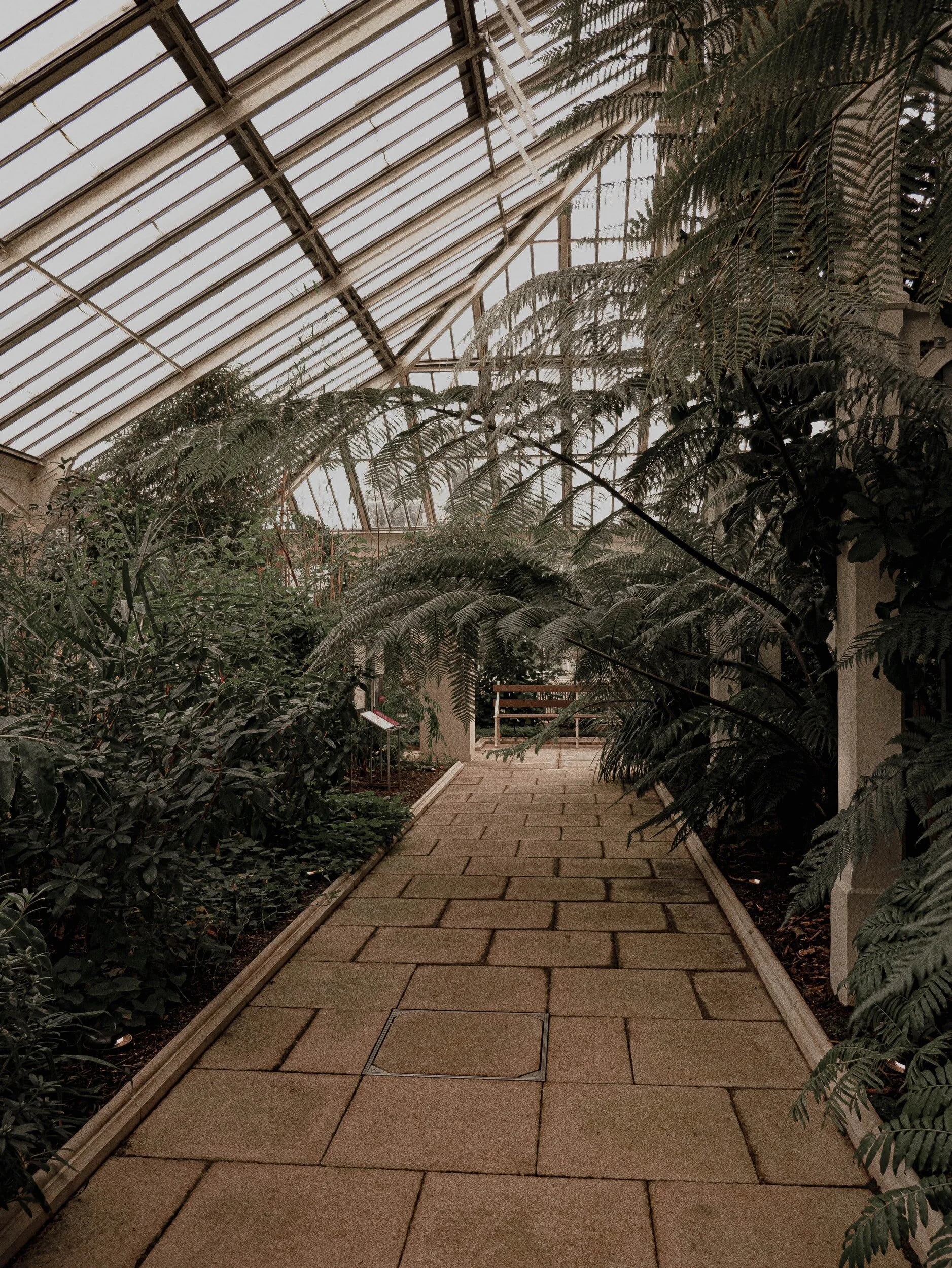 May Reflections - "I must have flowers, always, and always." Claude Monet