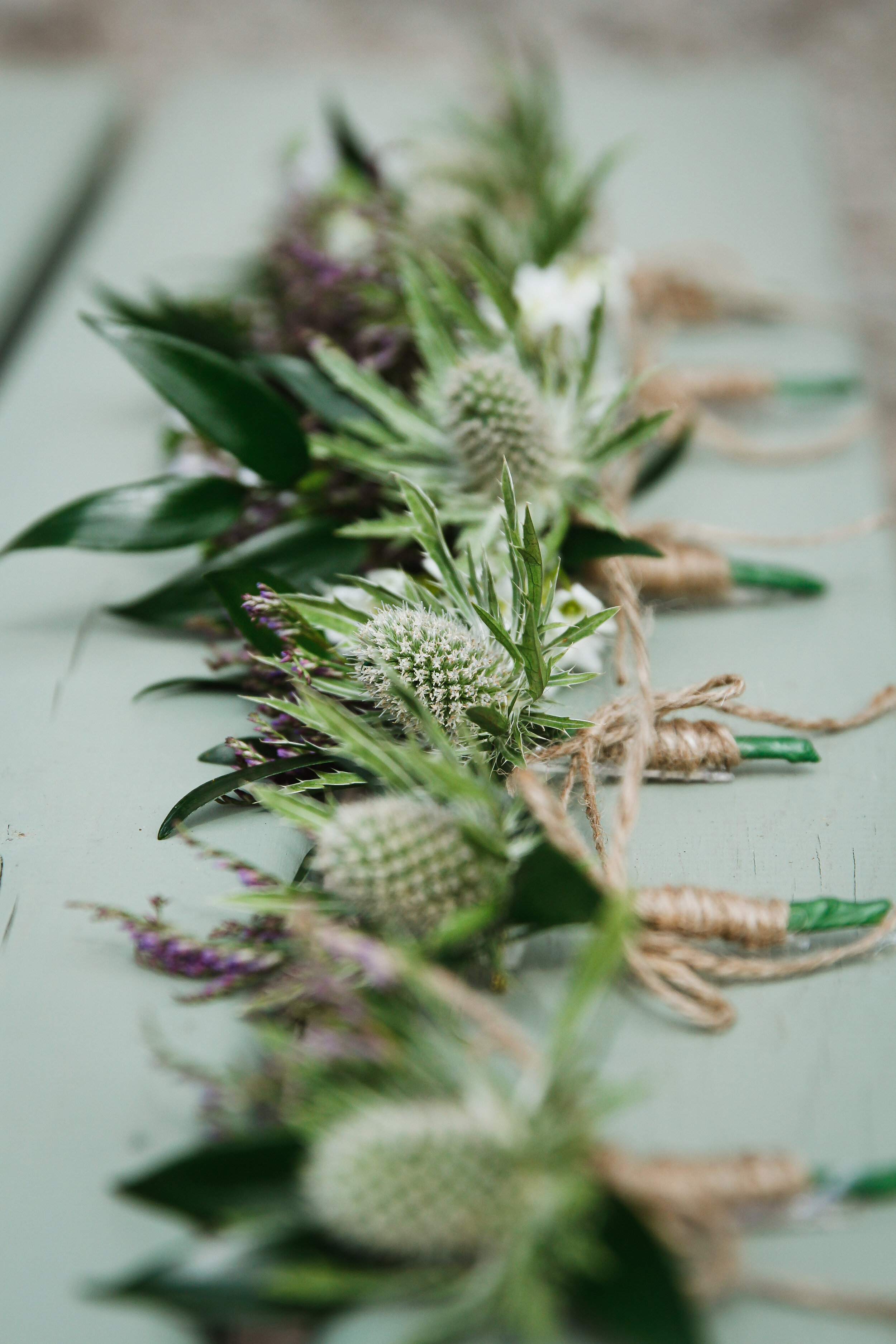 Thistle buttonholes lines up at Scottish wedding