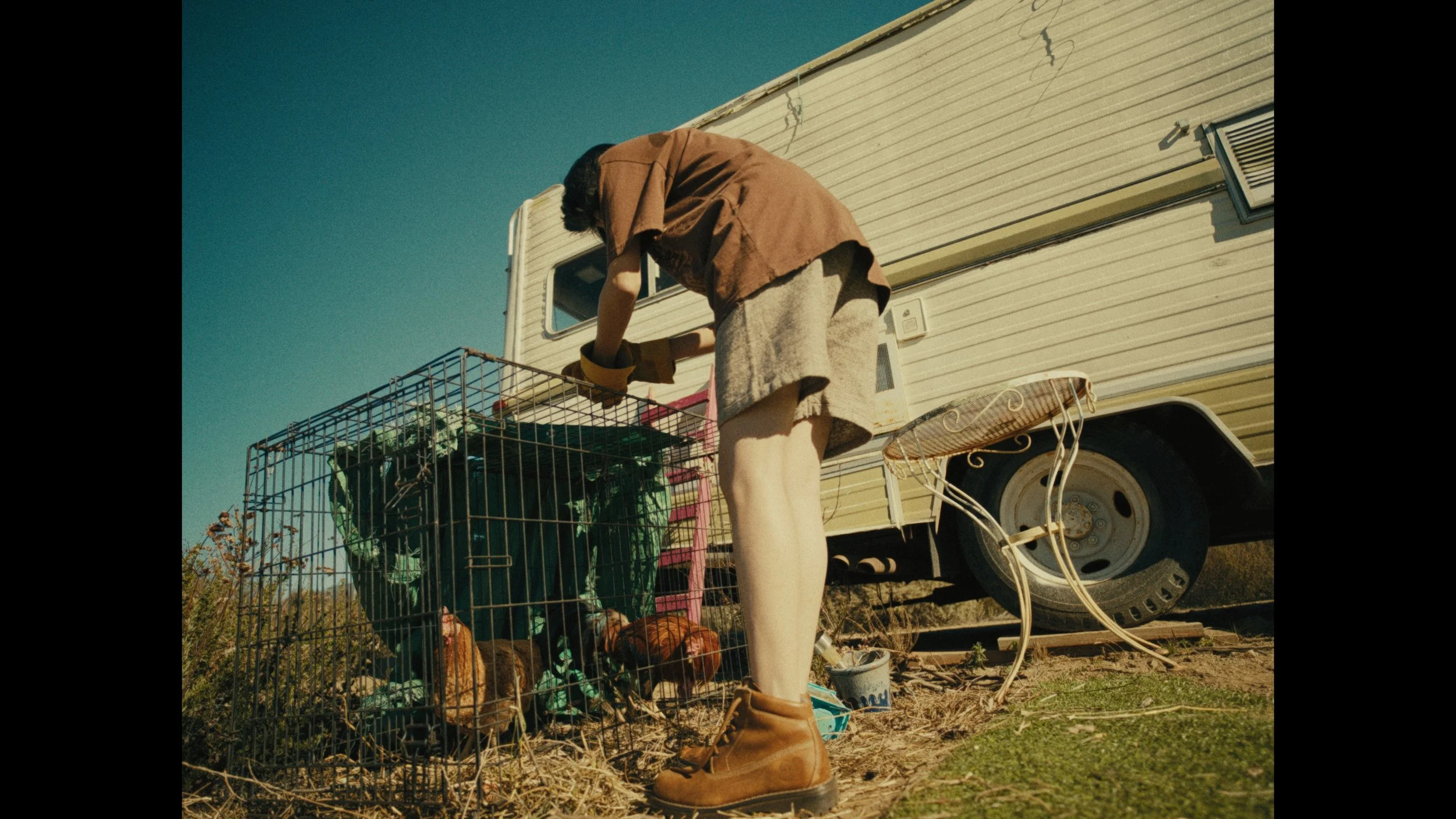 Still 2025-09-29 131143_1.6.1.jpg