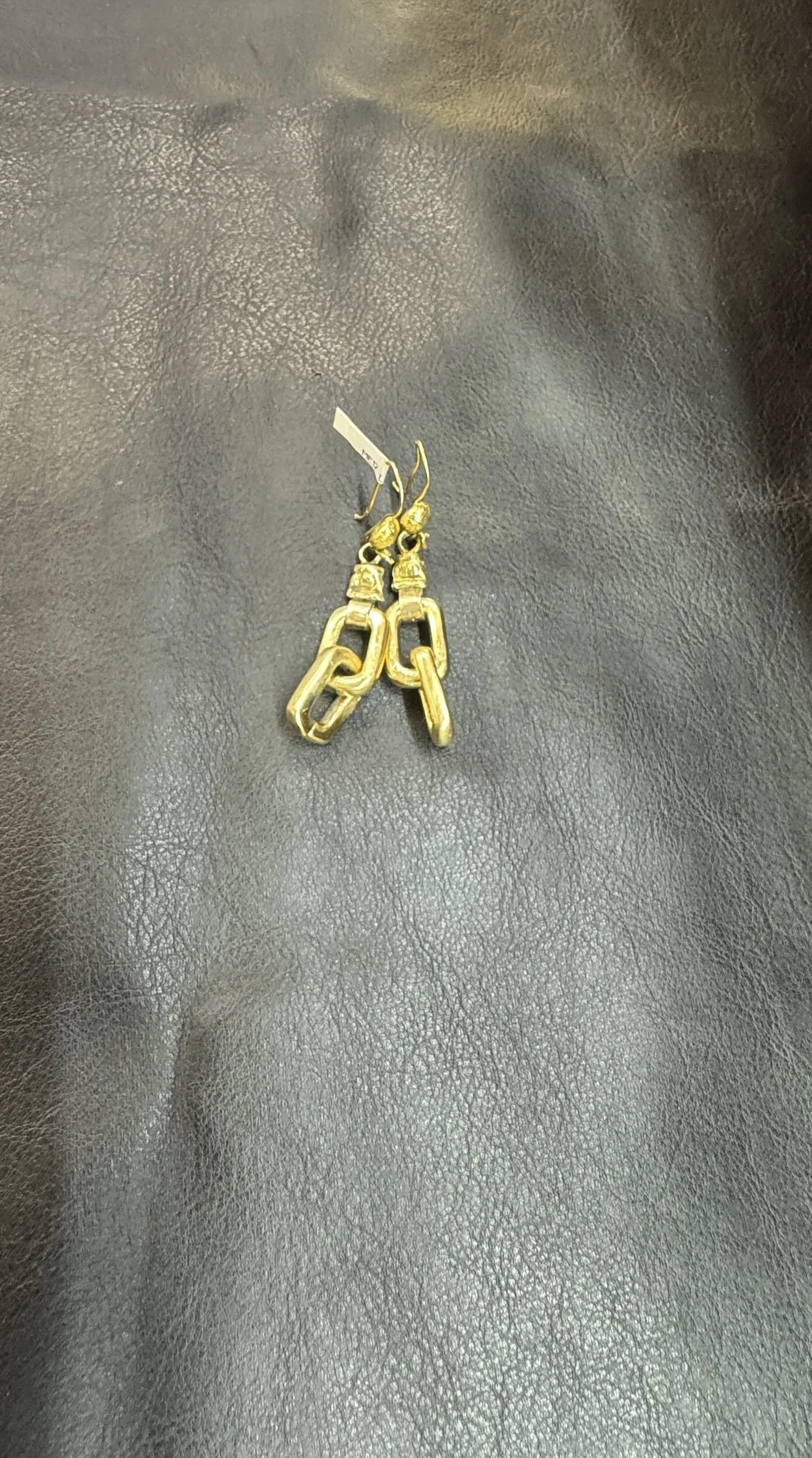 Double Link Earrings