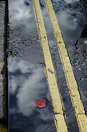 Yellow-lines-rain-puddle.jpg