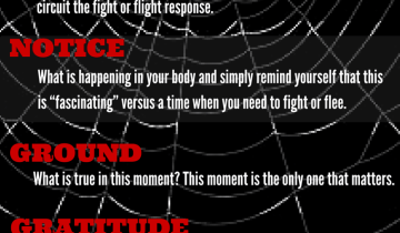 5-TIPS-to-calm-down-the-fight-or-flight-response.png
