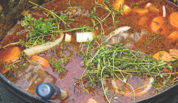 Get-out-of-the-stew.png