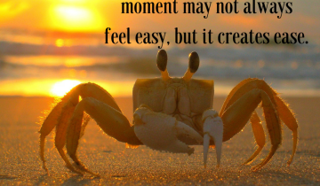 Staying-in-the-present-moment-may-not-always-feel-easy-but-it-creates-ease.-2.png